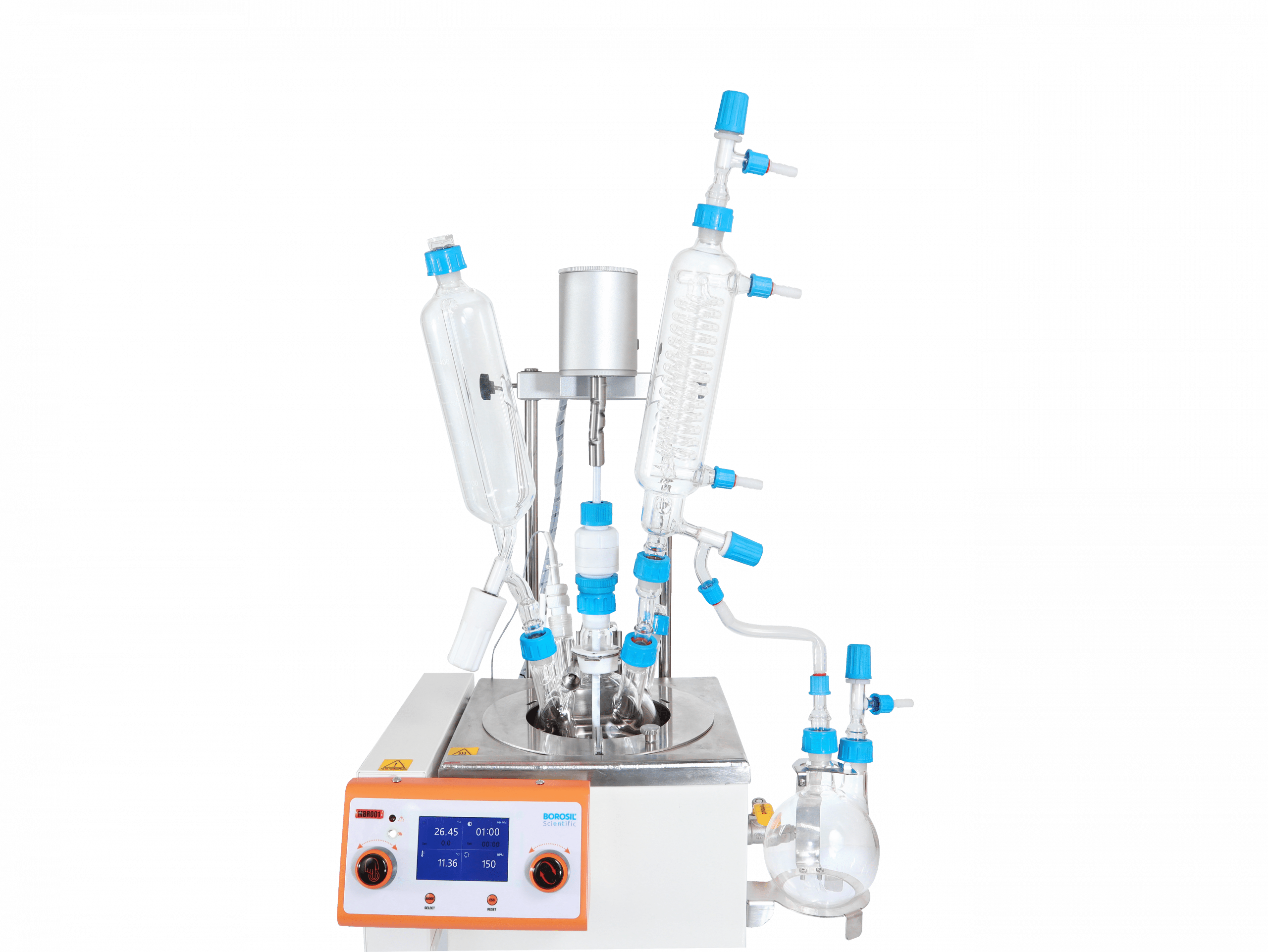 Copy of Copy of IMG_5413 copy